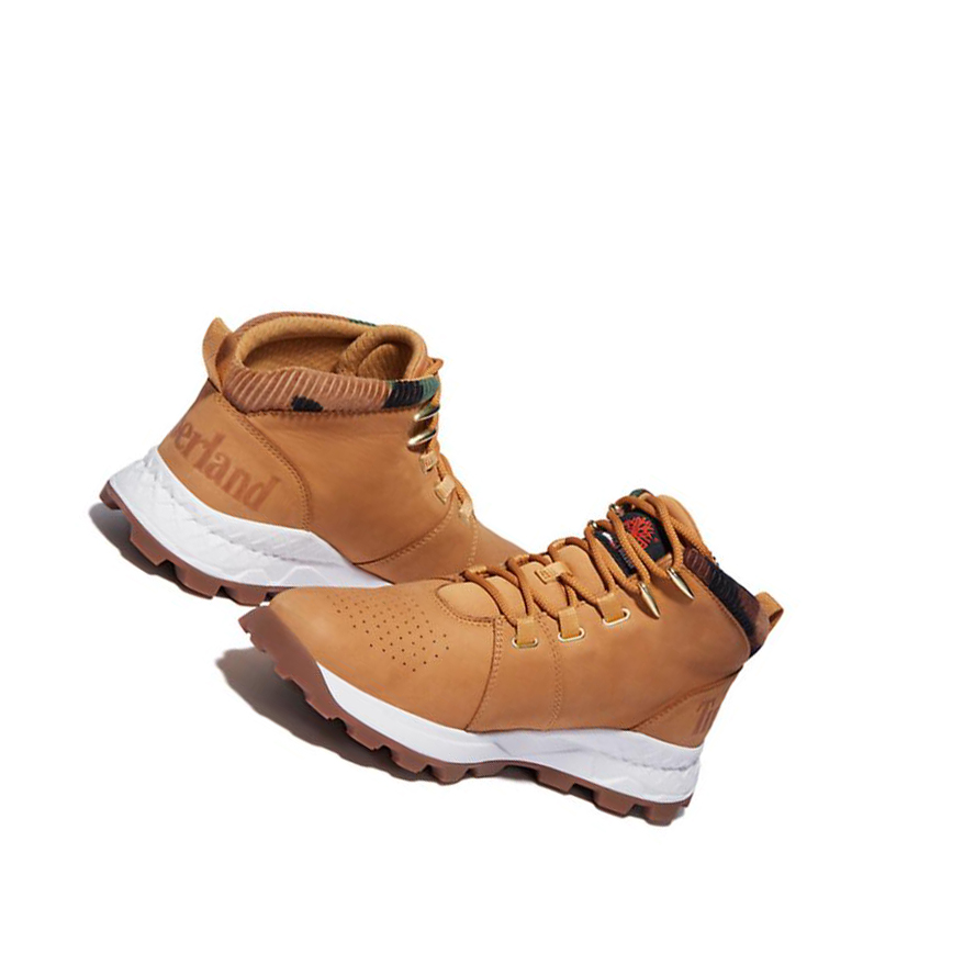 Timberland Brooklyn Túrabakancs Férfi Barna | HU-527CPJR