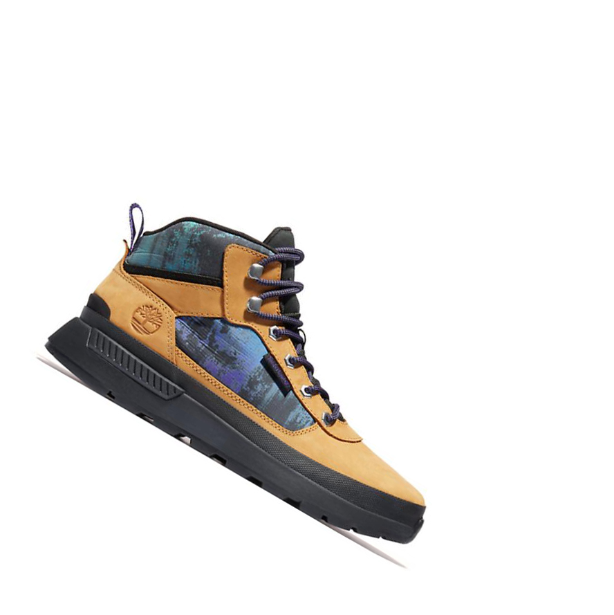 Timberland Field Trekker NL Sky Chukka Bakancs Férfi Sárga | HU-947XJRE