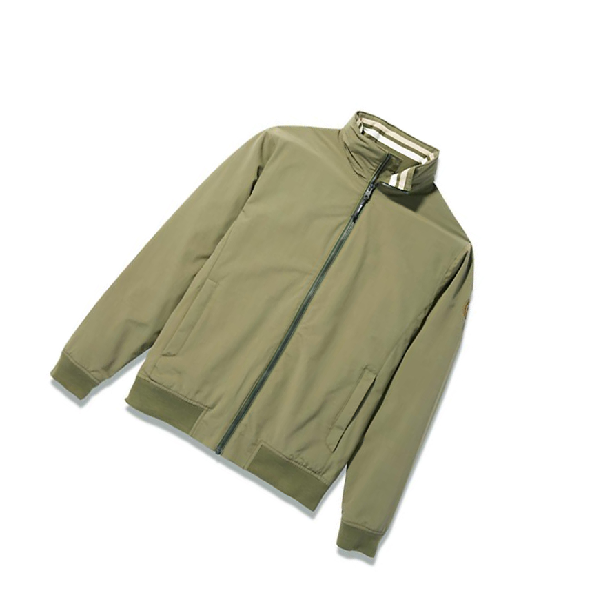 Timberland Mount Lafayette Bomber Kabát Férfi Zöld | HU-461VBQE