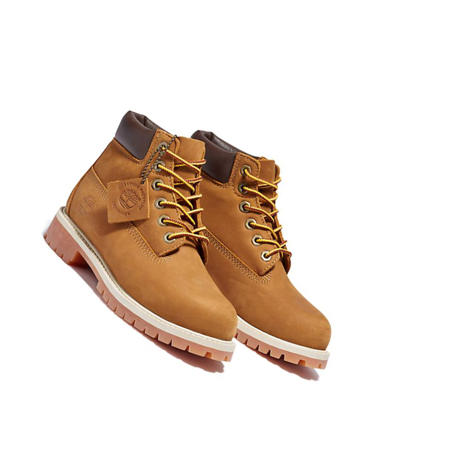 Timberland Premium Original 6-inch Boots Gyerek Barna | HU-930CPLJ