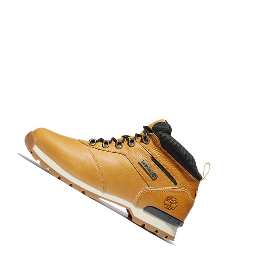 Timberland Splitrock Mid Hiker Túrabakancs Férfi Sárga | HU-635XHTU