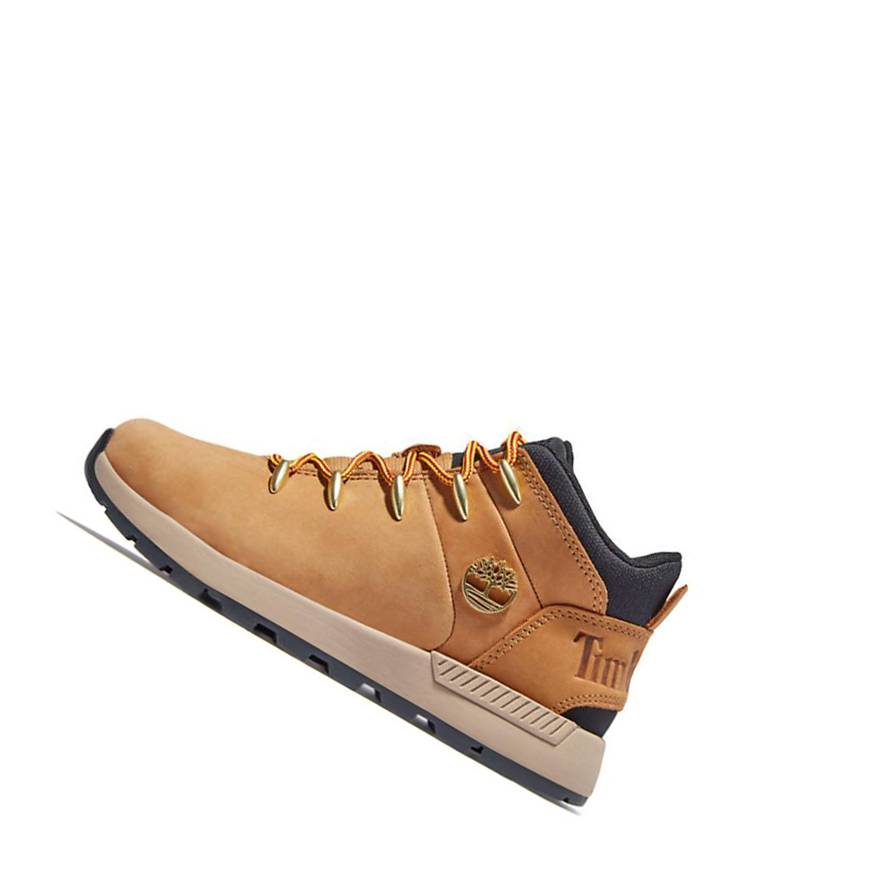 Timberland Sprint Trekker Chukka Bakancs Gyerek Sárga | HU-105MNJR