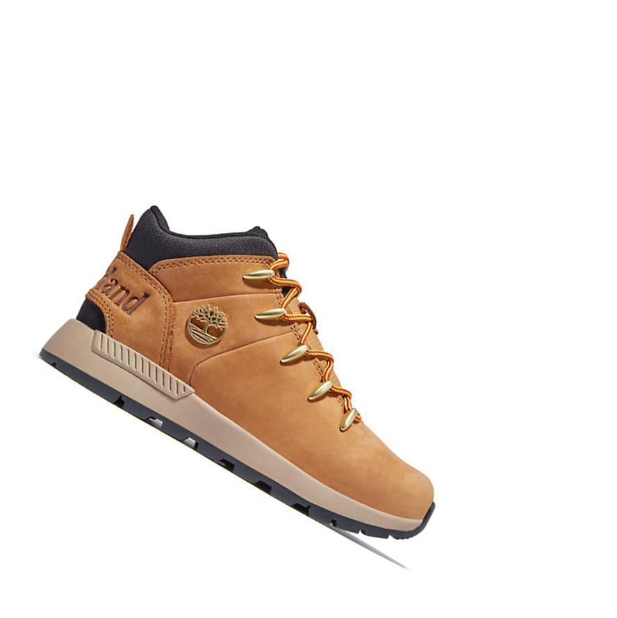 Timberland Sprint Trekker Chukka Bakancs Gyerek Sárga | HU-105MNJR