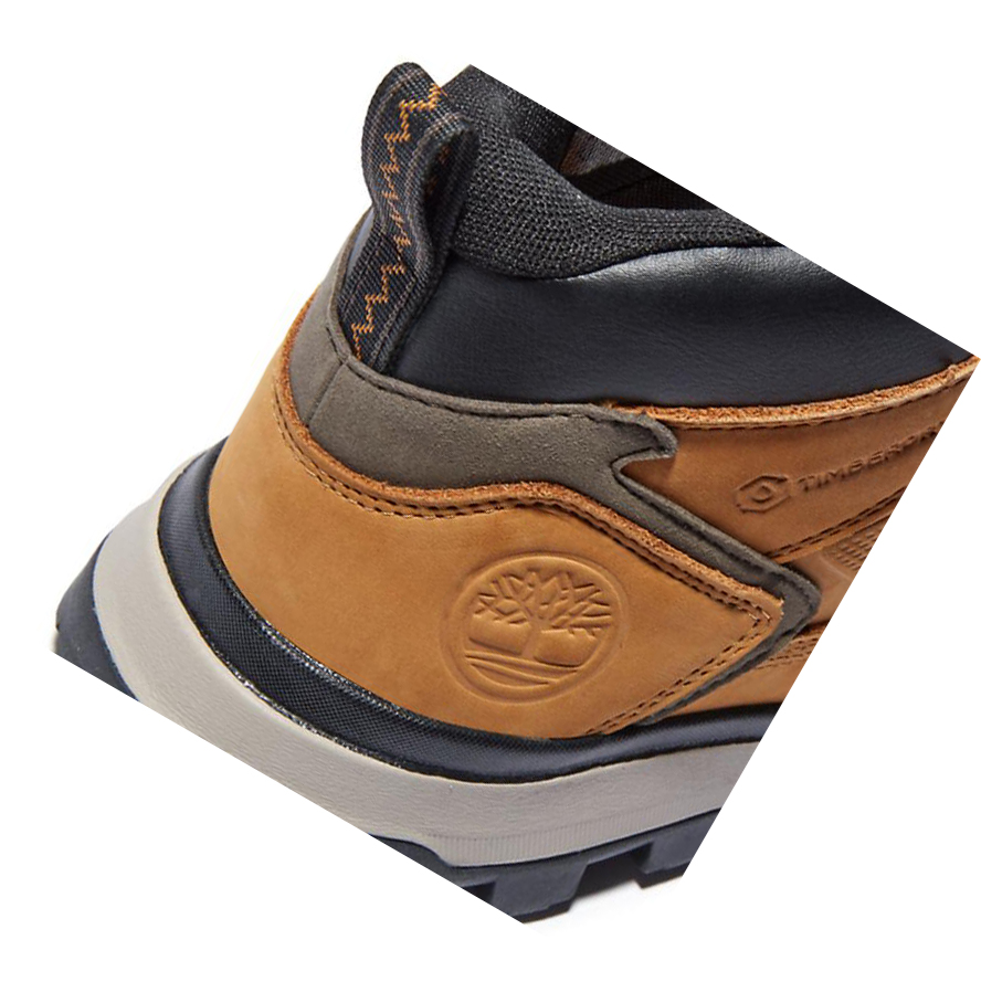 Timberland Treeline Hiker Chukka Bakancs Férfi Sárga | HU-529CABZ