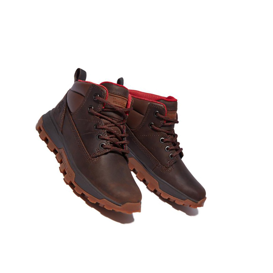 Timberland Treeline Mid Hiker Túrabakancs Gyerek Sötétbarna | HU-472KZVG