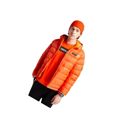 Timberland Garfield Csuklyás Puffer Kabát Férfi Narancssárga | HU-572MORL