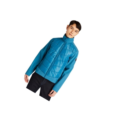 Timberland Soft-Shell Quilted-Hibrid Kabát Férfi Teal | HU-821SPMB