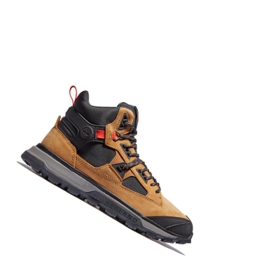 Timberland Treeline STR Chukka Bakancs Férfi Sárga | HU-658ALWU